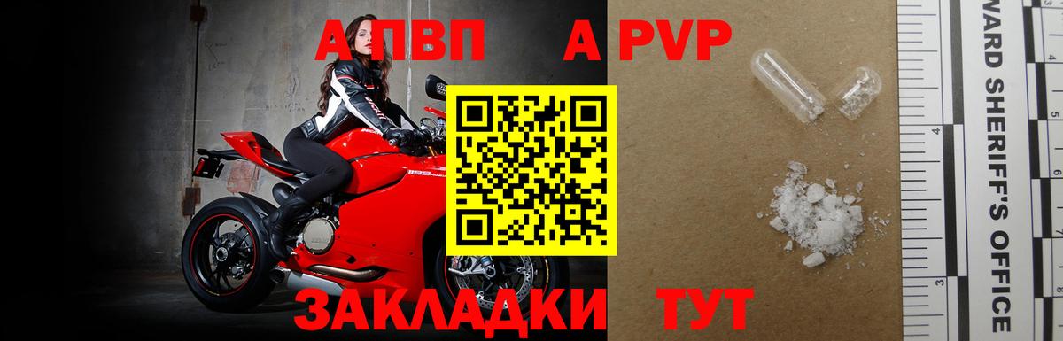 A PVP СК КРИС Славгород