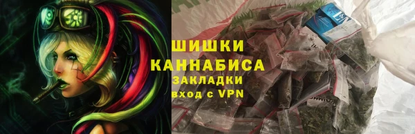 стафф Новозыбков