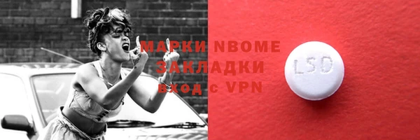 стафф Новозыбков