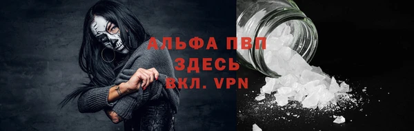 стафф Новозыбков