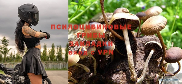 прущие крисы Новокубанск