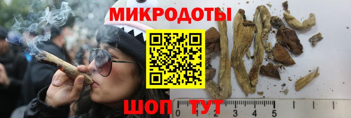 купить закладку  Славгород  Галлюциногенные грибы GOLDEN TEACHER  Галлюциногенные грибы Psilocybe 